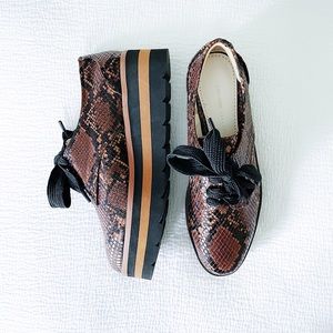 ZARA Python Platform Oxford Shoes